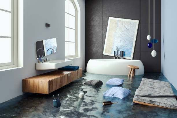 Best Flooded house restoration  in Mccamey, TX