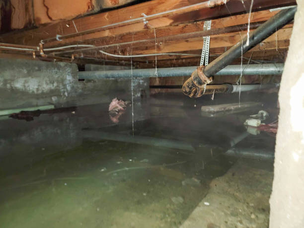 Best Fire Damage Restoration  in Mccamey, TX