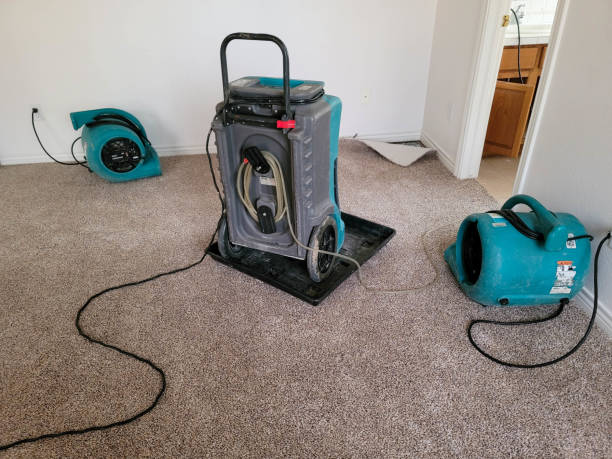 Best Water damage restoration cost  in Mccamey, TX