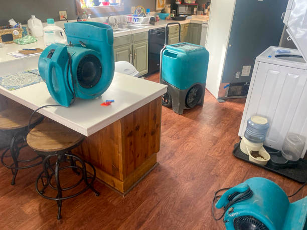 Best Fire Damage Restoration  in Mccamey, TX