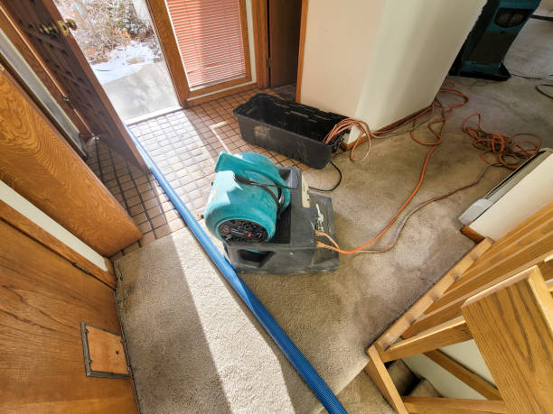 Best Water damage restoration near me  in Mccamey, TX