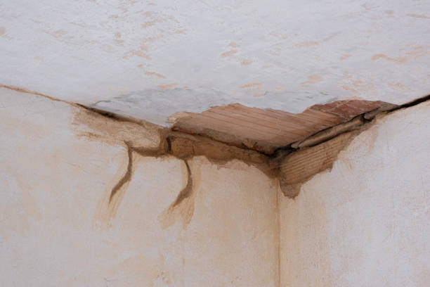 24/7 water damage repair in Mccamey, TX