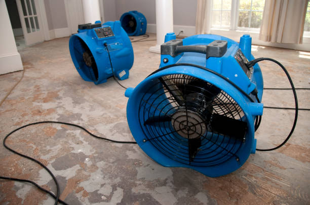 Best Ceiling water damage repair  in Mccamey, TX