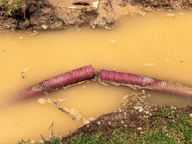 Best Carpet water damage restoration  in Mccamey, TX