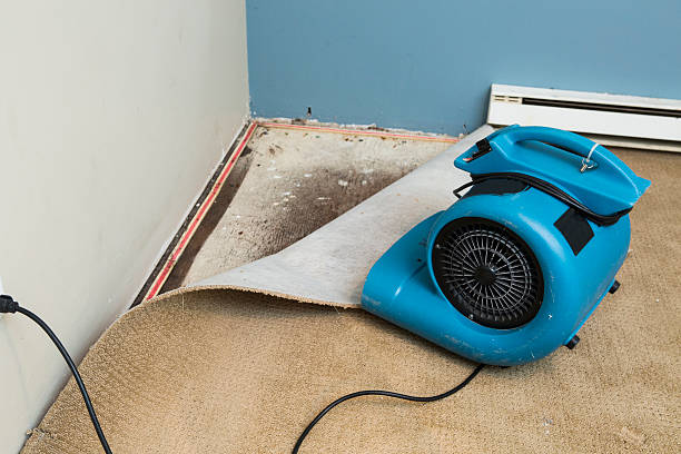 Local water damage restoration in Mccamey, TX